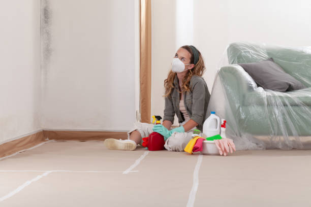 Reliable Mold Cleanup contractor in Laingsburg, MI by Cheap Mold Removal